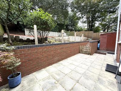 Picture 20